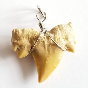 Real shark tooth pendant silver tone light tan surfer beach ocean coastal